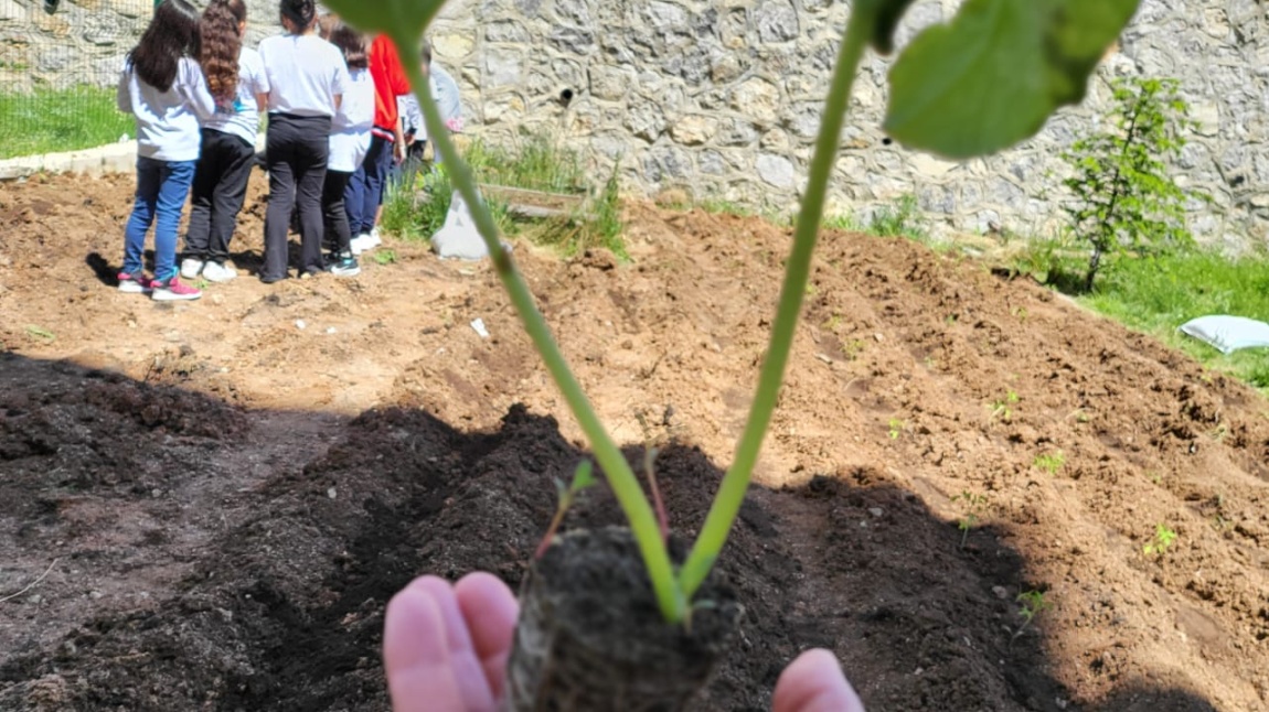 Okul Bahçesine, Bitkilerin Büyümesini Gözlemleyebilmeleri İçin Öğrencilerle Fide Dikimi Yapıldı...